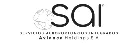 SERVICIOS AEROPORTUARIOS INTEGRALES